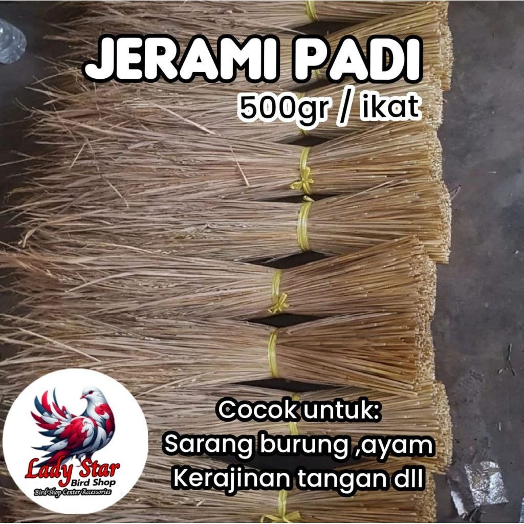Jerami Padi Kering 500gr / Sarang Burung Ayam Jerami  untuk bertelur / Jerami  padi Kering /Jerami P