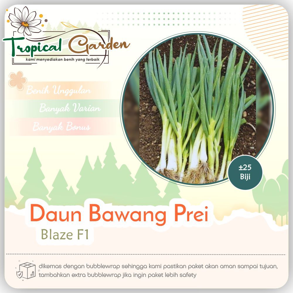 Benih Daun Bawang Prei Blaze F1 / Bibit Unggulan Batang Besar & Tahan Penyakit