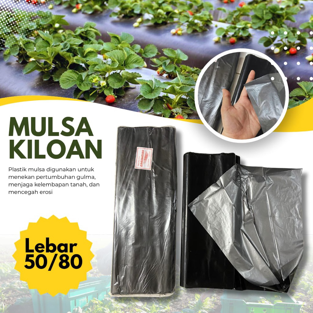 Mulsa Kiloan Lebar 50-100/Plastik Mulsa Hitam Perak Lebar 50-100/Mulsa 1kg Hitam Perak Murah