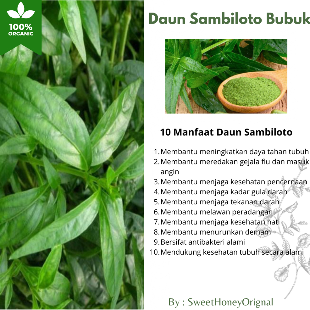 Bubuk Daun Sambiloto - Daun Sambiloto Bubuk