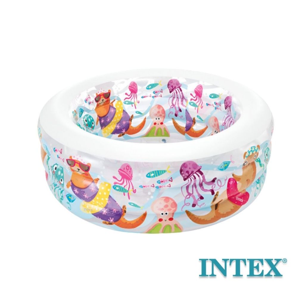 INTEX Aquarium Pool - 58480