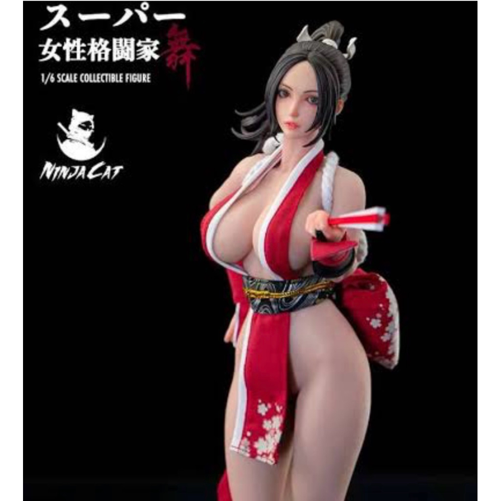 figure 1/6 mai shiranui Ninjacat