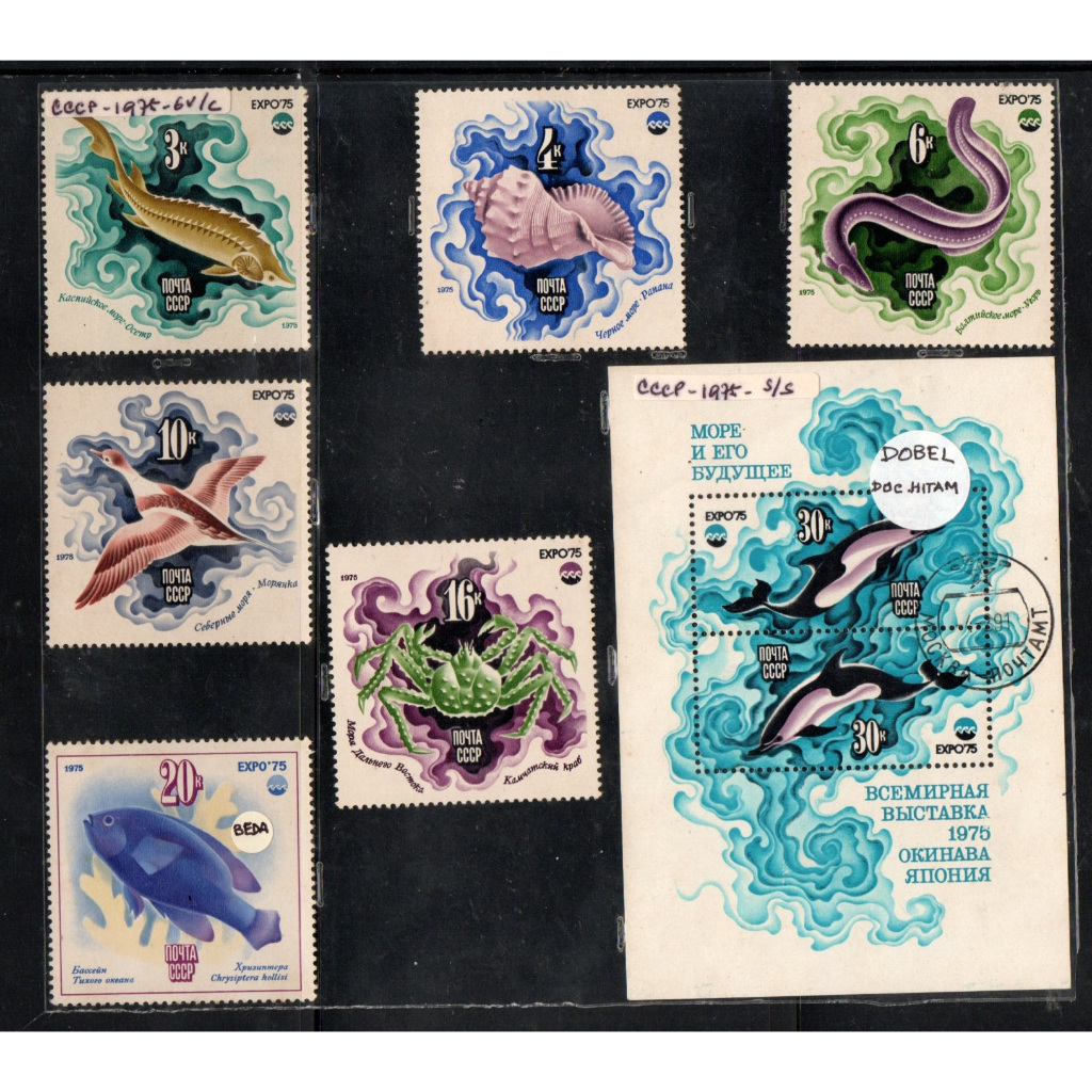 Prangko Tema Ikan Fish 215 Rusia