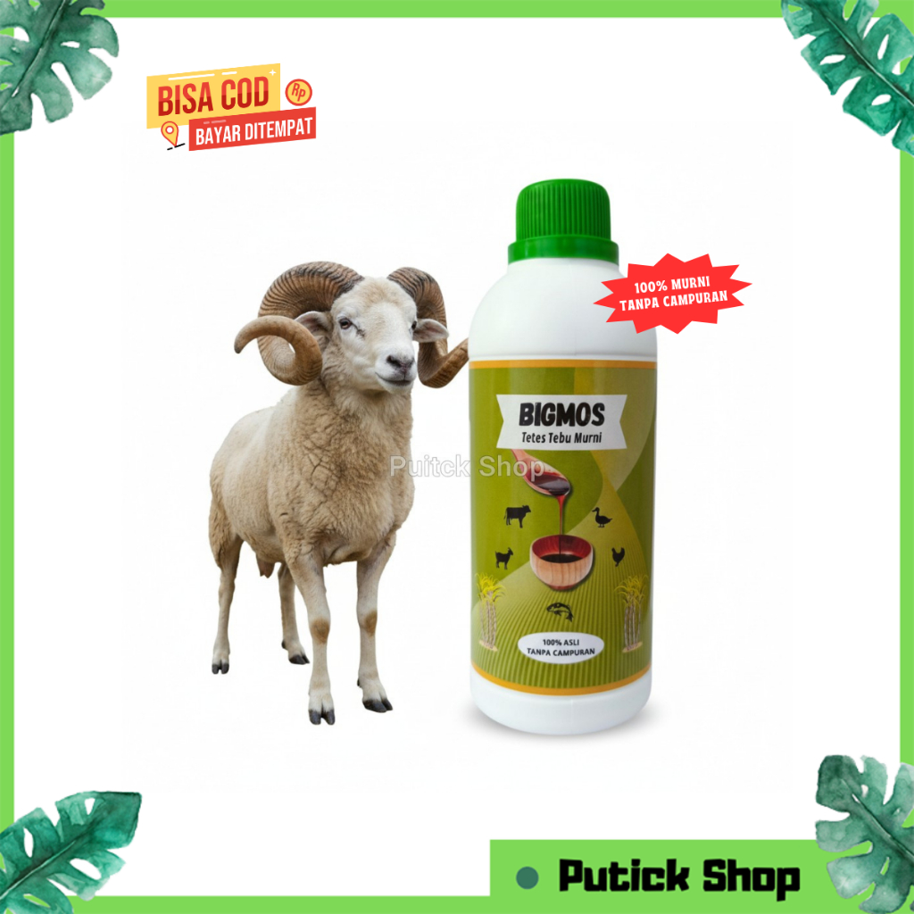 BIGMOS Penggemuk Kambing Domba Molase Tetes Tebu Penambah Nafsu Makan Hewan Ternak Kambing Sapi