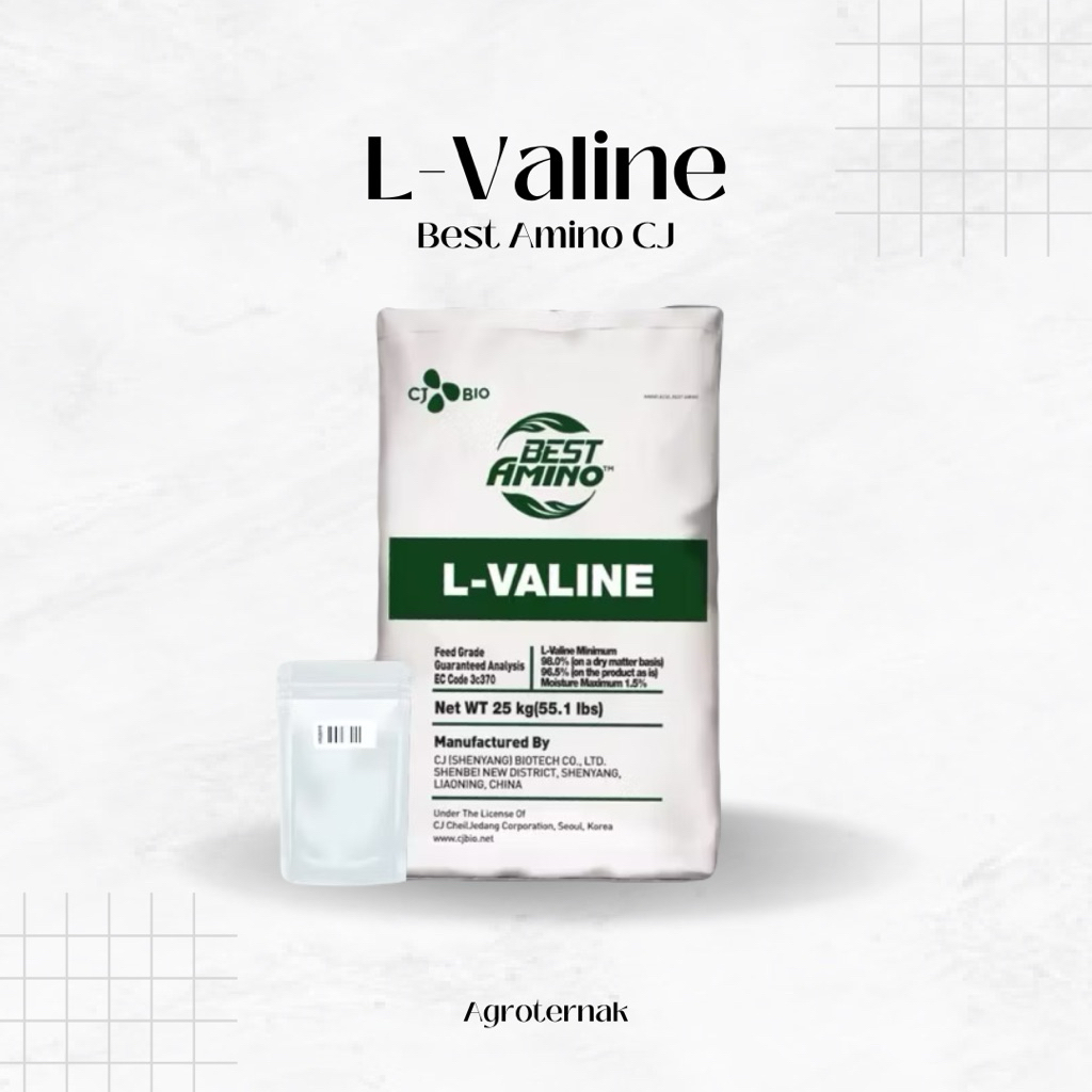 L-Valine Valin Asam Amino pertumbuhan Hewan