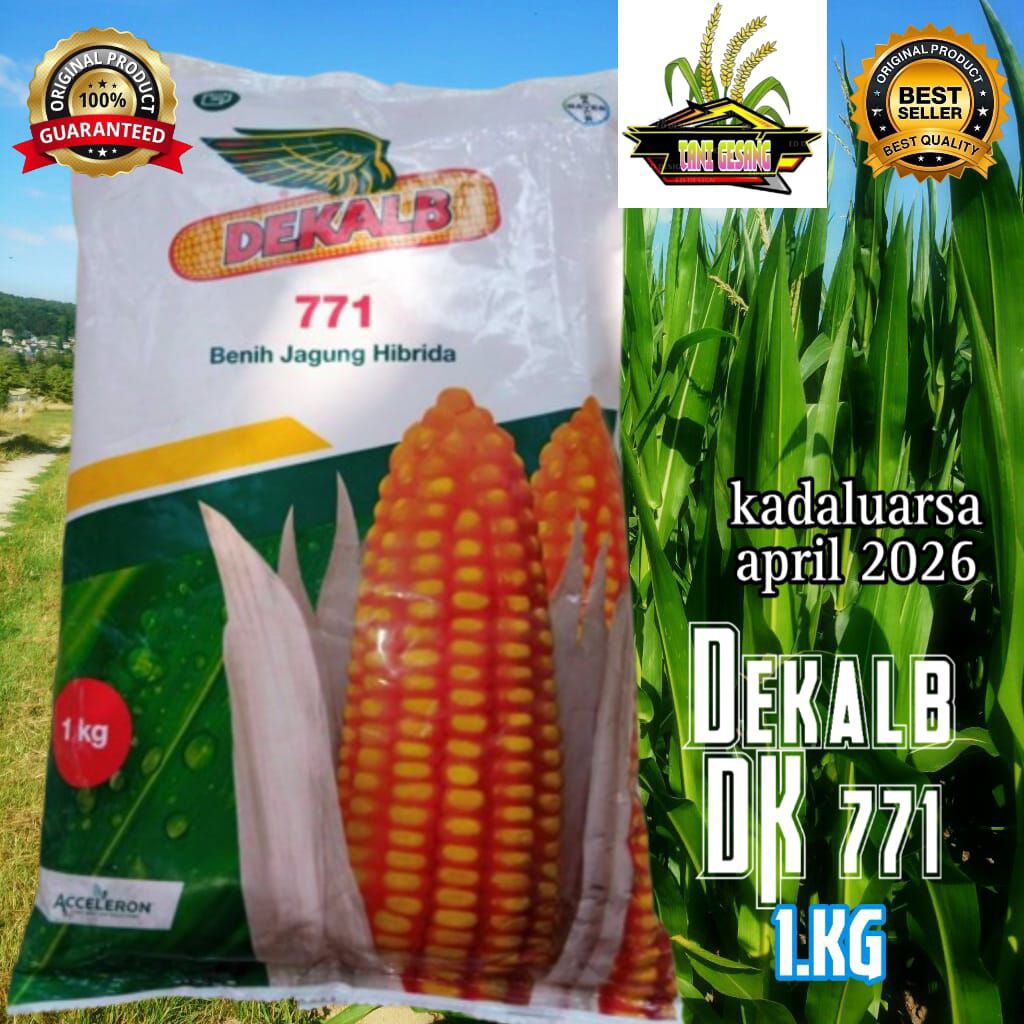 benih jagung DK 771/DEKALB ,benih jagung hibrida unggulan kemasan 1kg