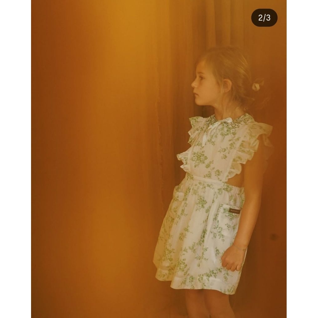 dress apron bonjour diary