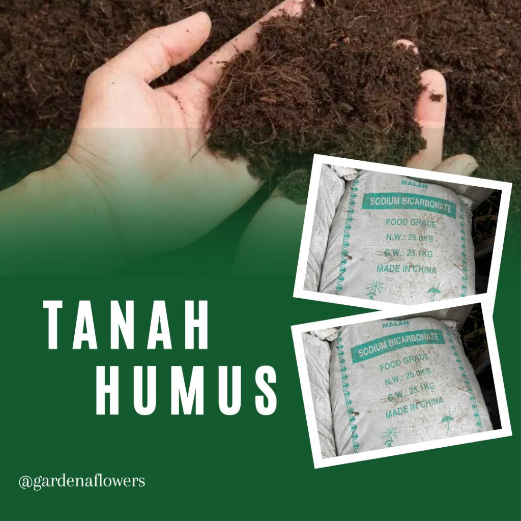 Tanah Humus
