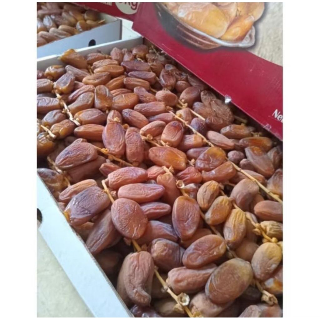Kurma Tunisia Tangkai 5 Kg | Kurma Tunisia Algeria | Kurma Tunisia Tangkai Fresh
