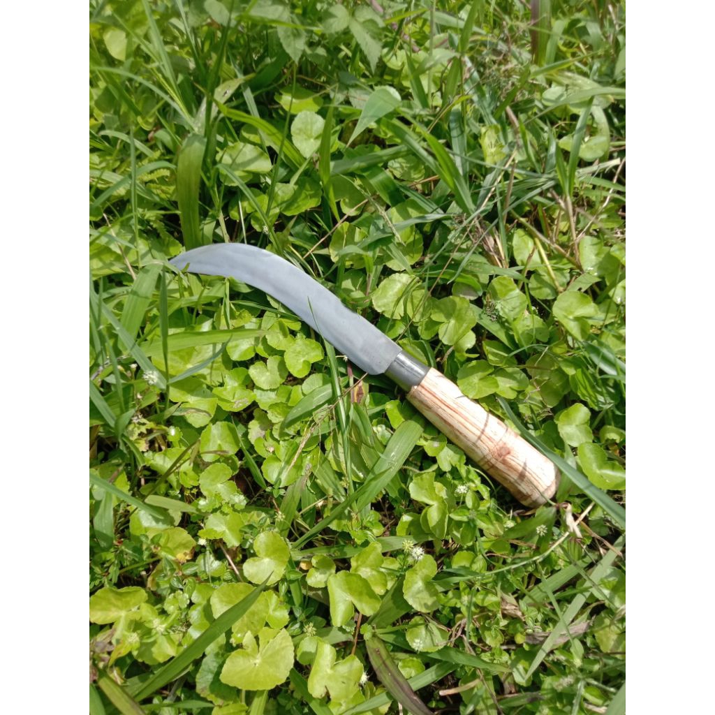 pisau tandan pisang/kupas pisang