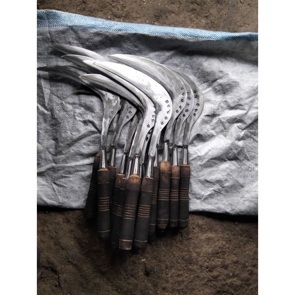 Arit/BajaAsliCapBintang5