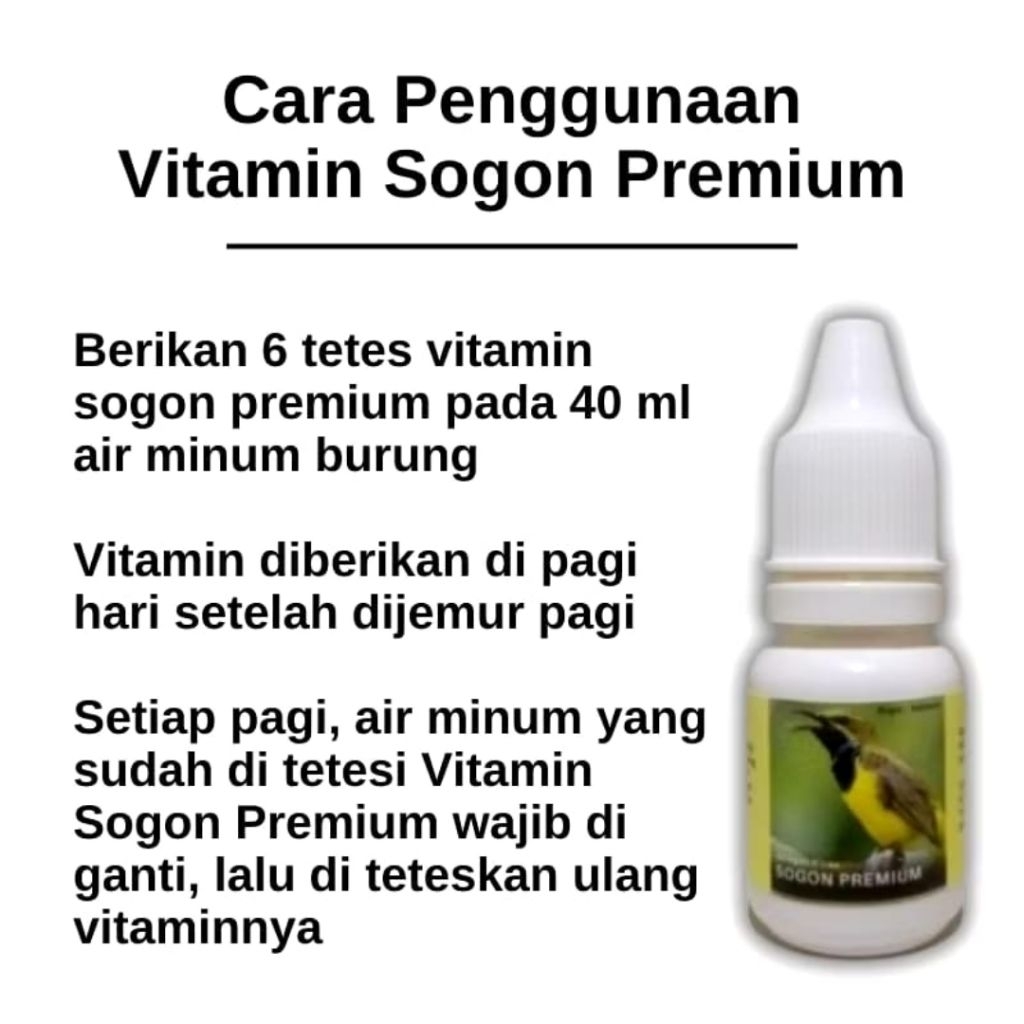 Vitamin Burung sogon ontong premium bongkar isian