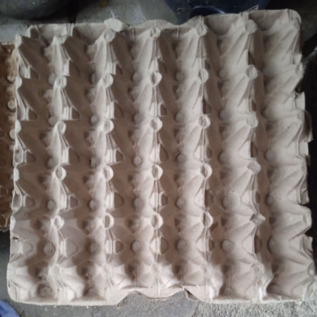 tray telur bekas bagus 01