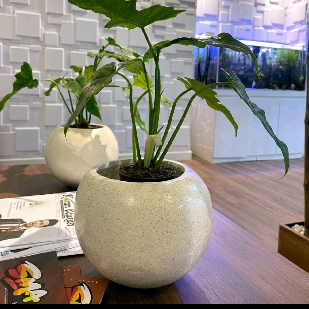 Pot Meja Mini Teraso Terrazzo Tipe Bola Mini Cocok Untuk Penghias Meja