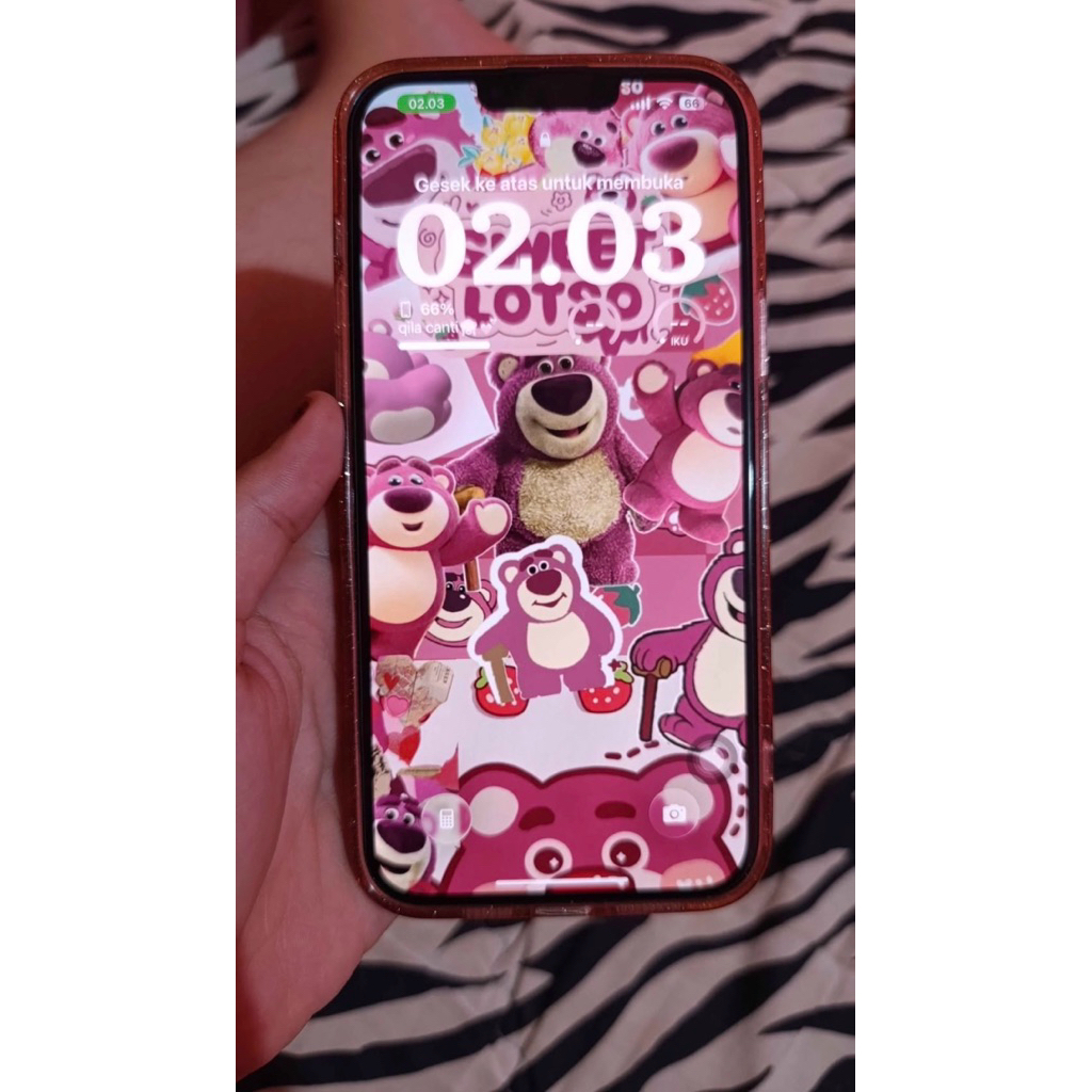 iPhone 13 Pro Max inter