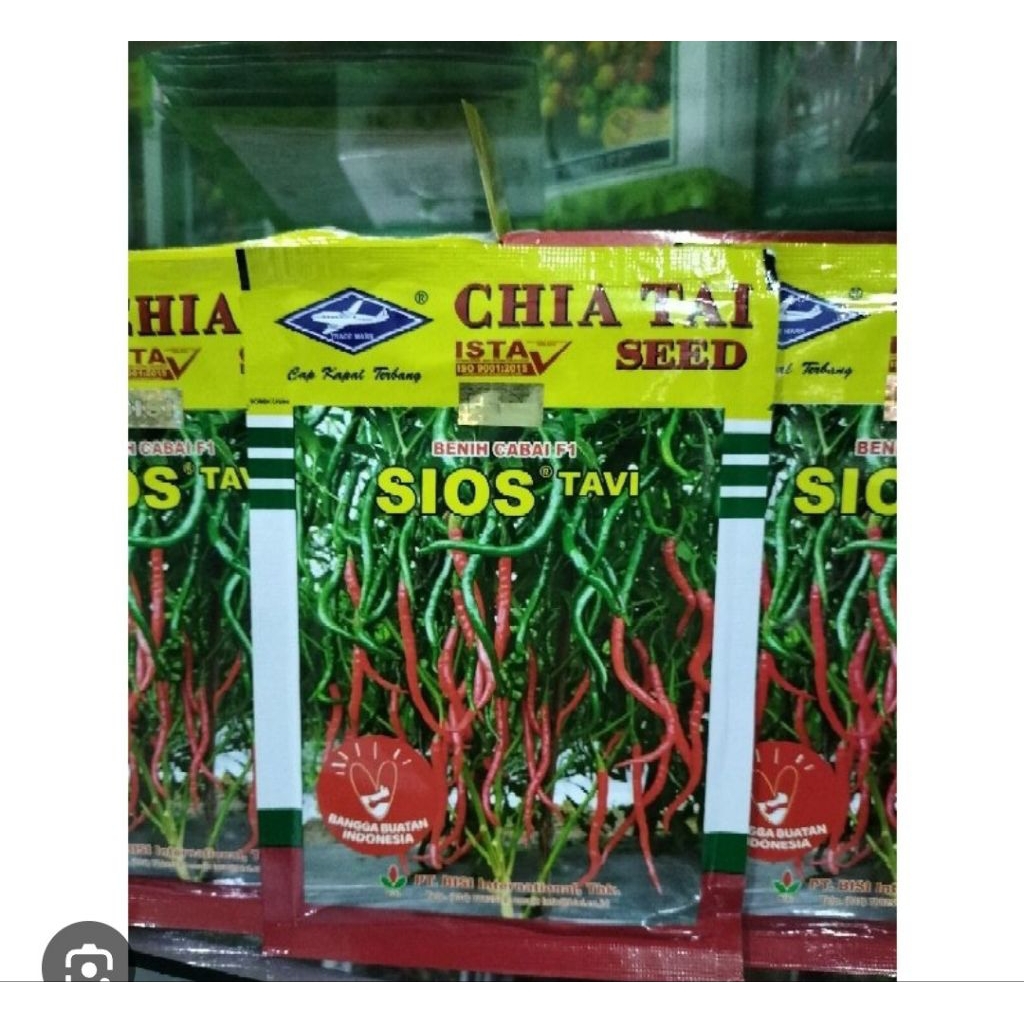 benih bibit cabe keriting SIOS TAVI F1 10 GRAM