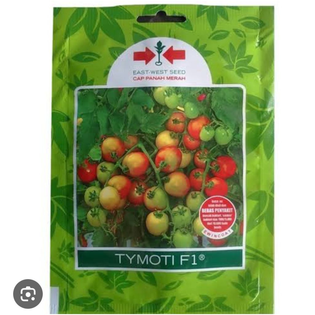benih bibit tomat hibrida TYMOTI F1 1750 BUTIR