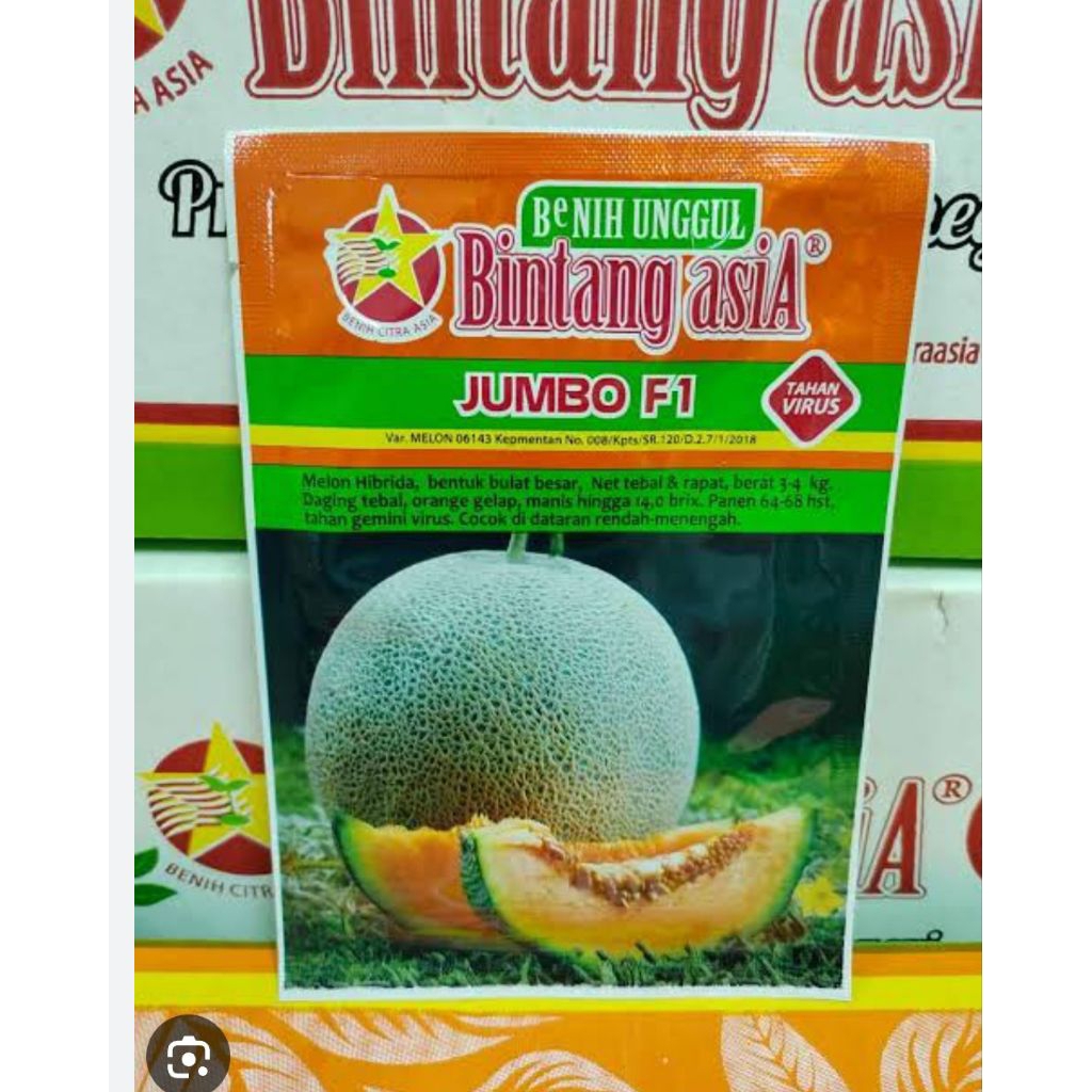 benih bibit melon JUMBO F1 20 GRAM