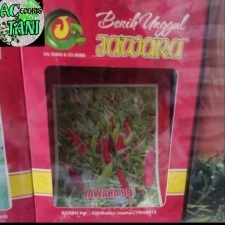 JAWARA_(Kecil)4-10gr