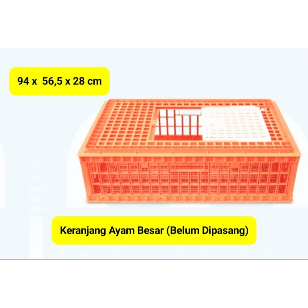 KERANJANG AYAM BESAR MEDION BARU (Belum Pasang)