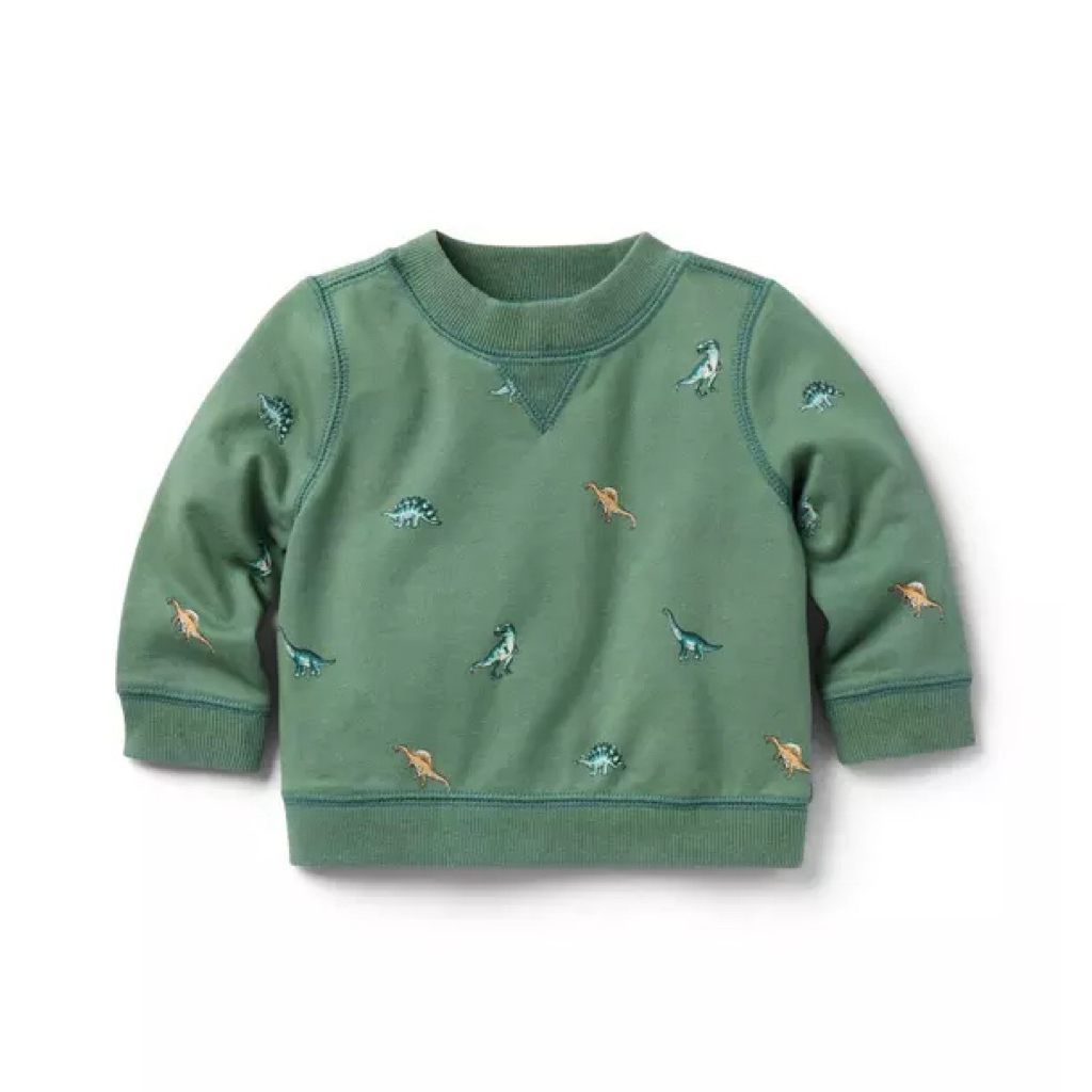 Janie and Jack Baby Dinosaurus Sweatshirt