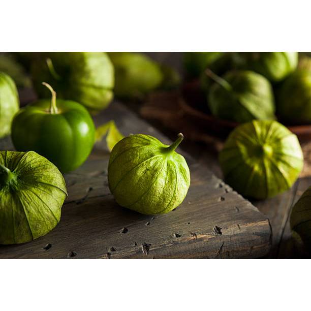 SIAP TANAM BENIH BUAH CIPLUKAN JUMBO