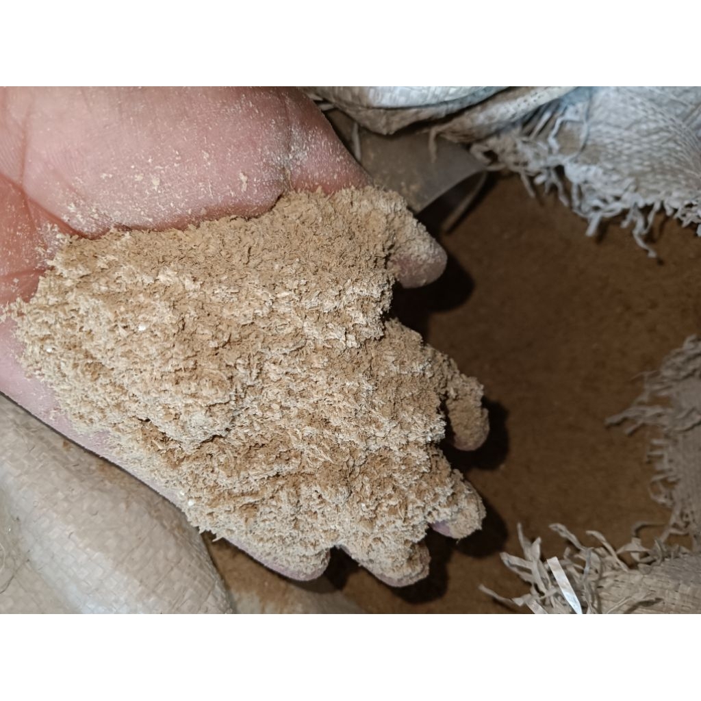 Dedak katul pakan ayam & bebek