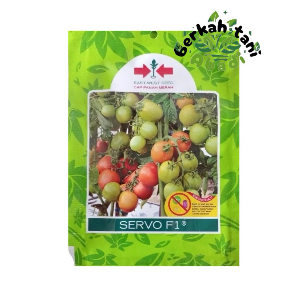 Servo F1 benih bibit tomat panah merah