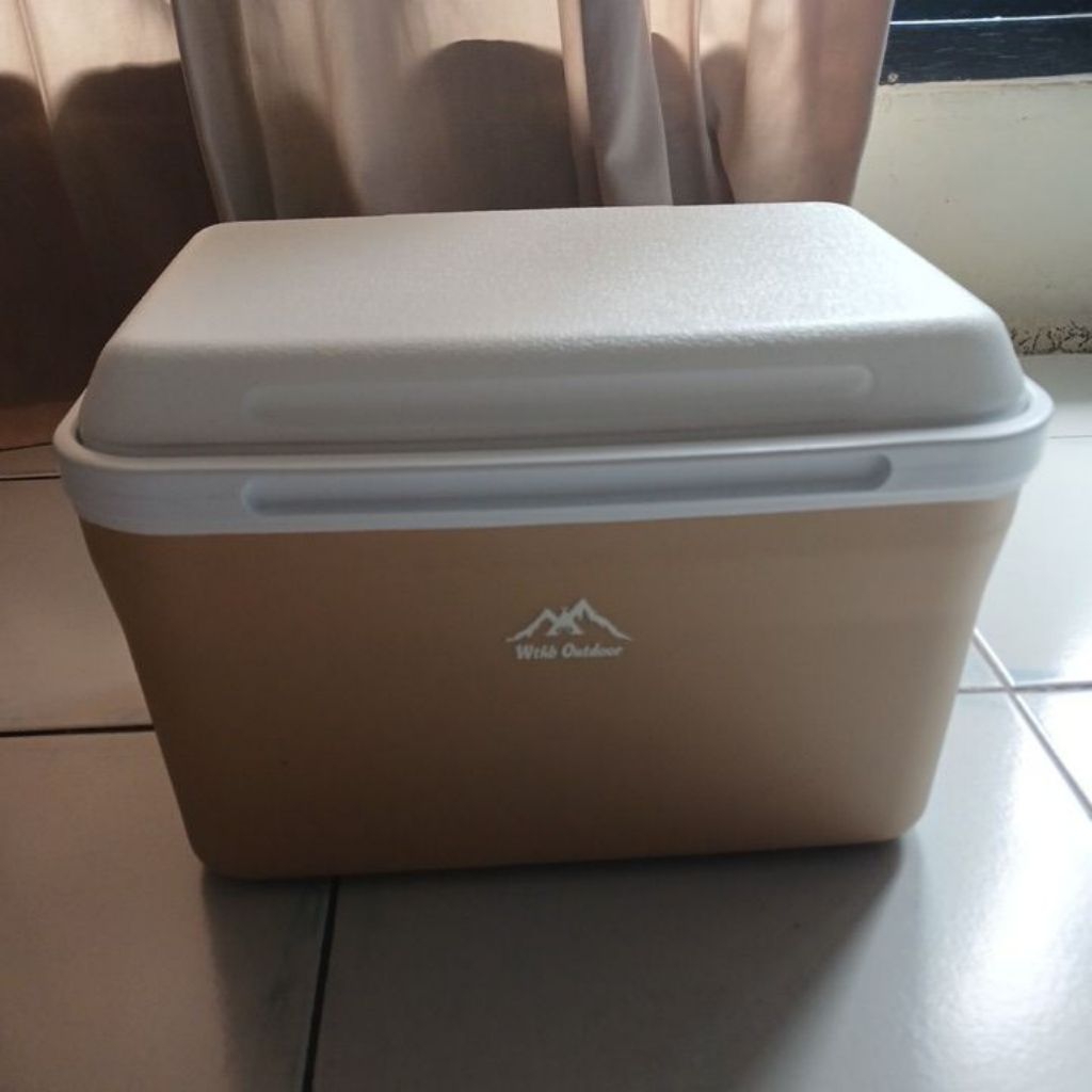 WTHB outdoor Cooler box 10L