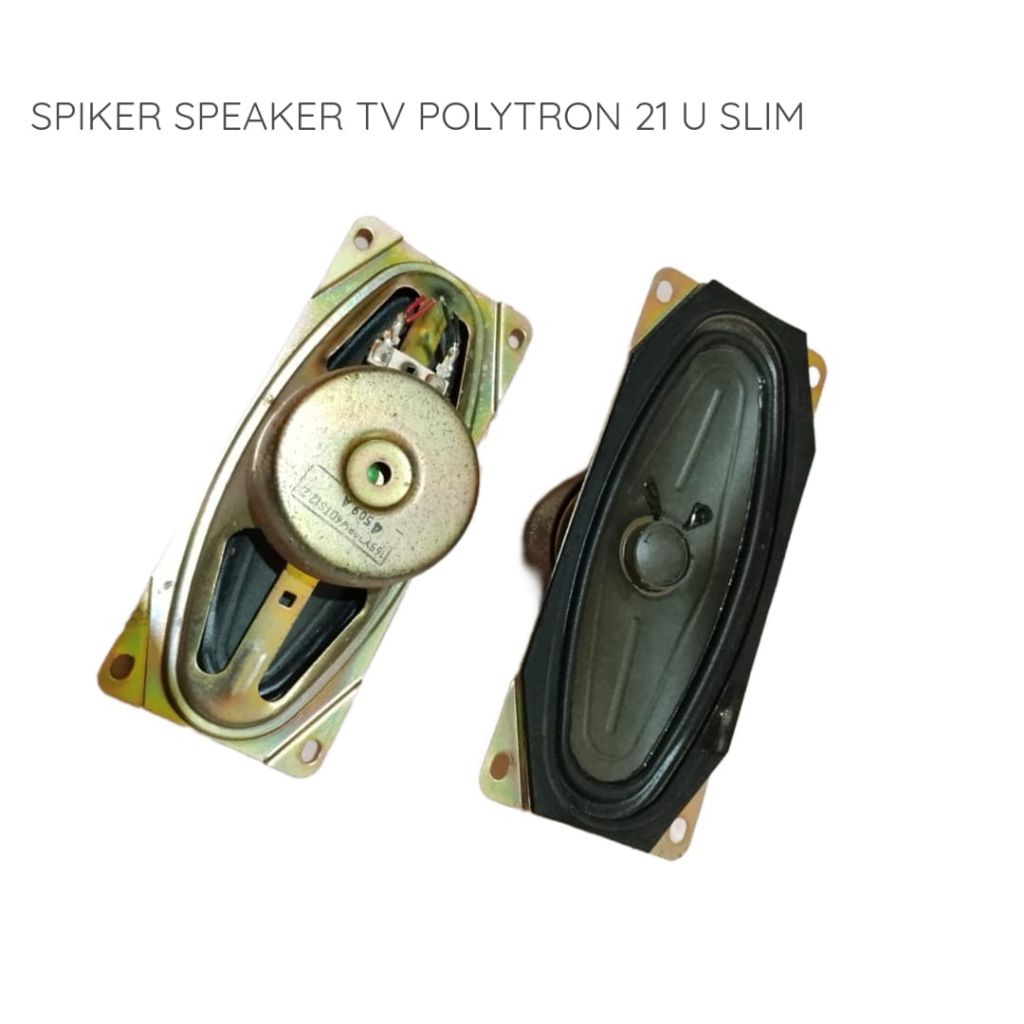 SPIKER SPEAKER TV POLYTRON 21 U SLIM
