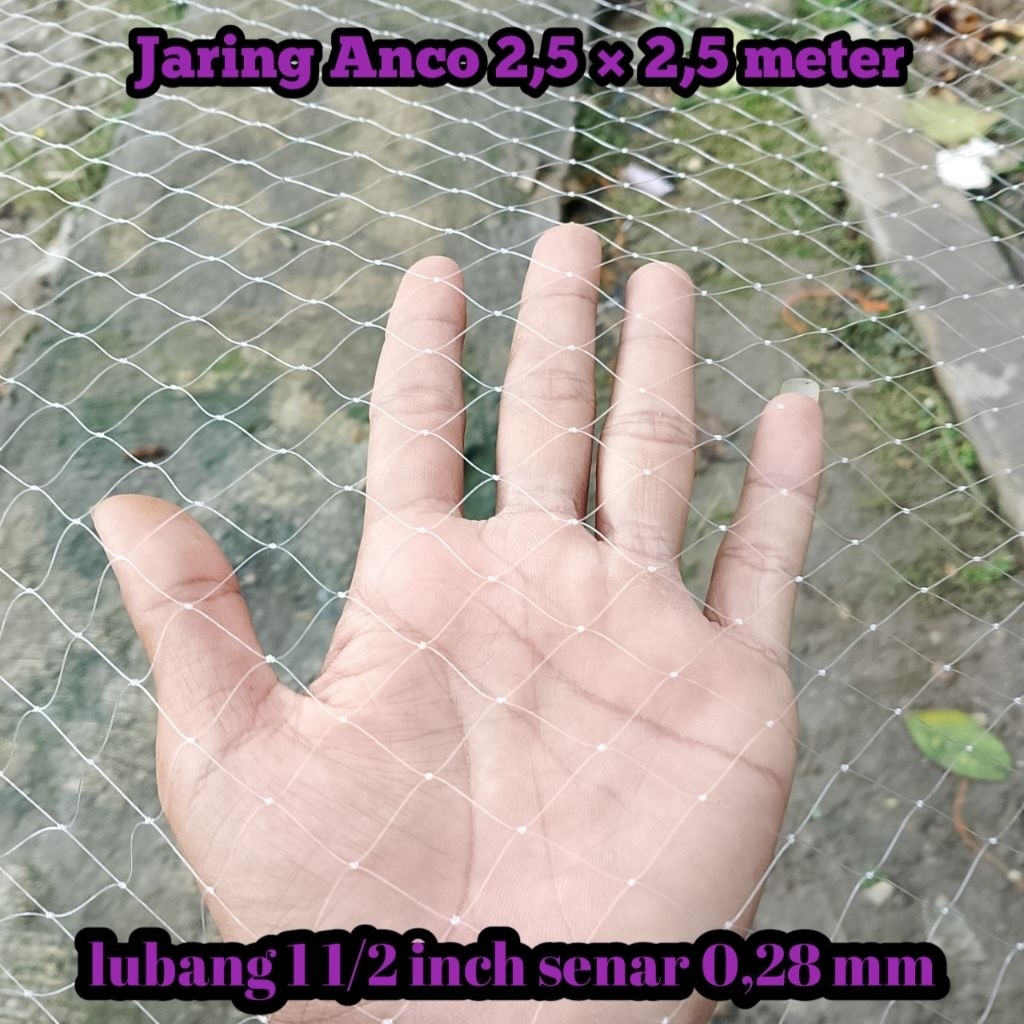 Anco ikan 2,5×2,5 persegi lubang 1 1/2 inch ,senar 0,28mm bahan tebal,jaring ,Anco ikan,tangkul ikan