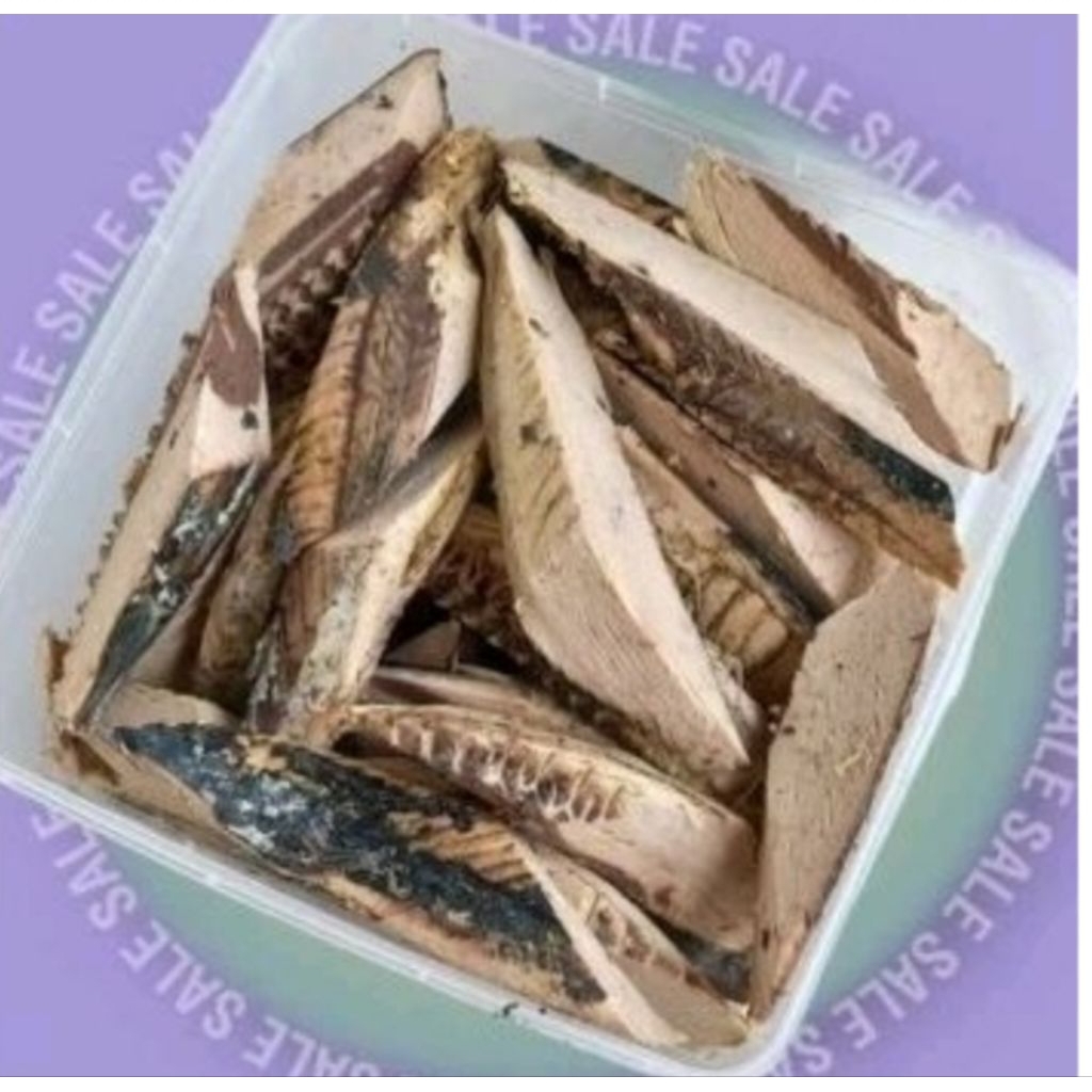 Ikan Tongkol iris Segar