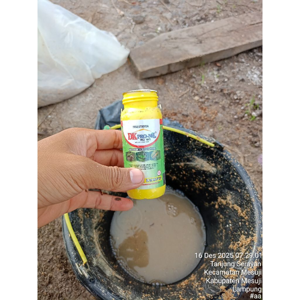 Dk Pronil 50EC Tuntas Basmi Orong2