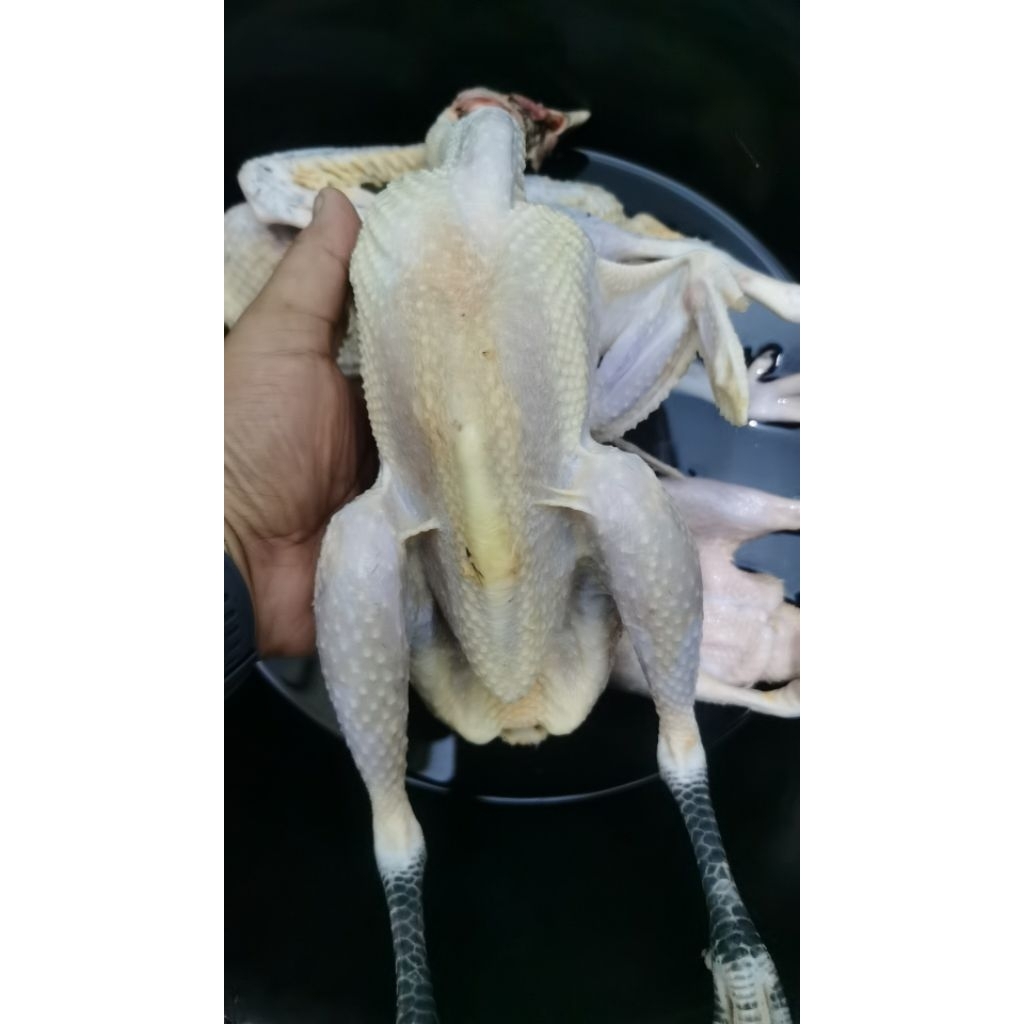 Ayam kampung muda + hati/empela fresh.