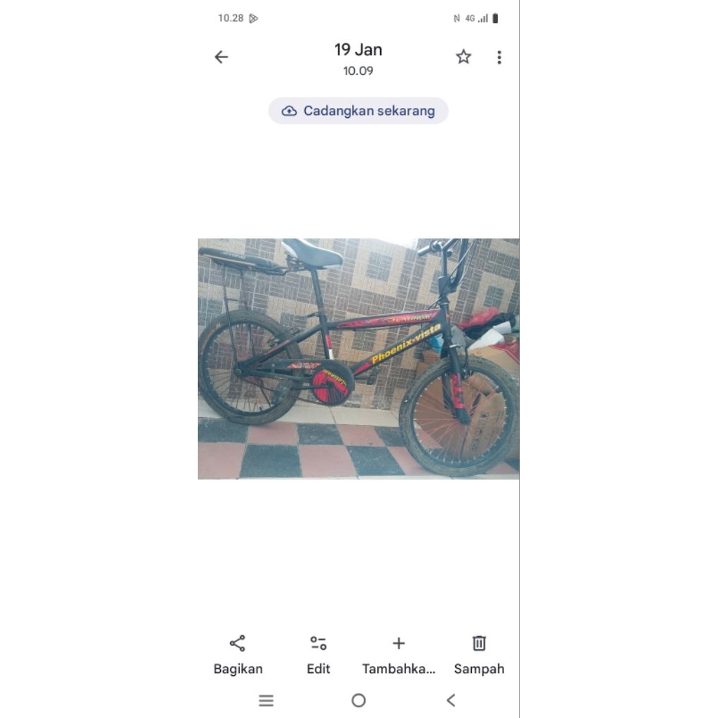 sepeda pancal muluss