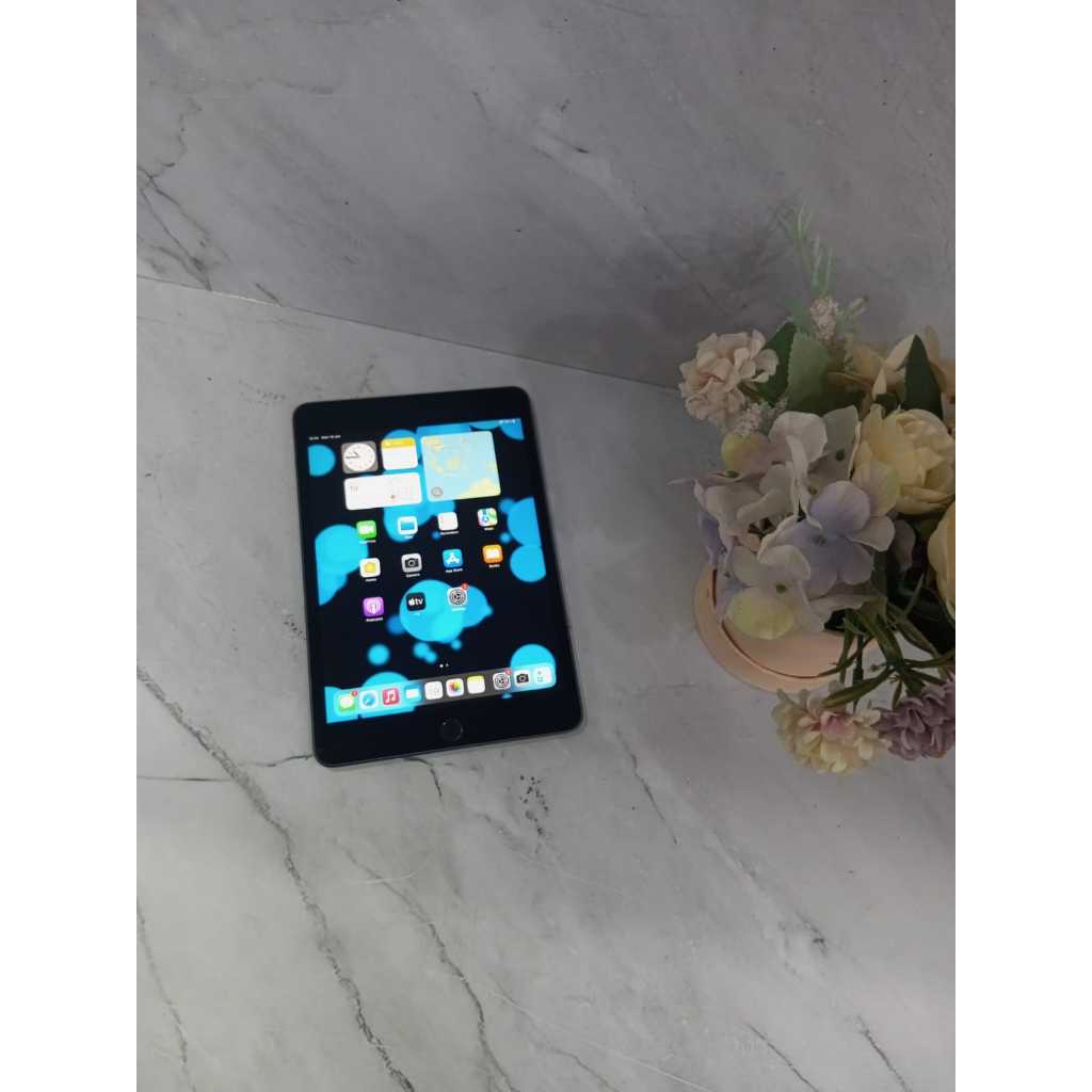 Ipad Mini 5  64gb Grey a2133 Wifi Only