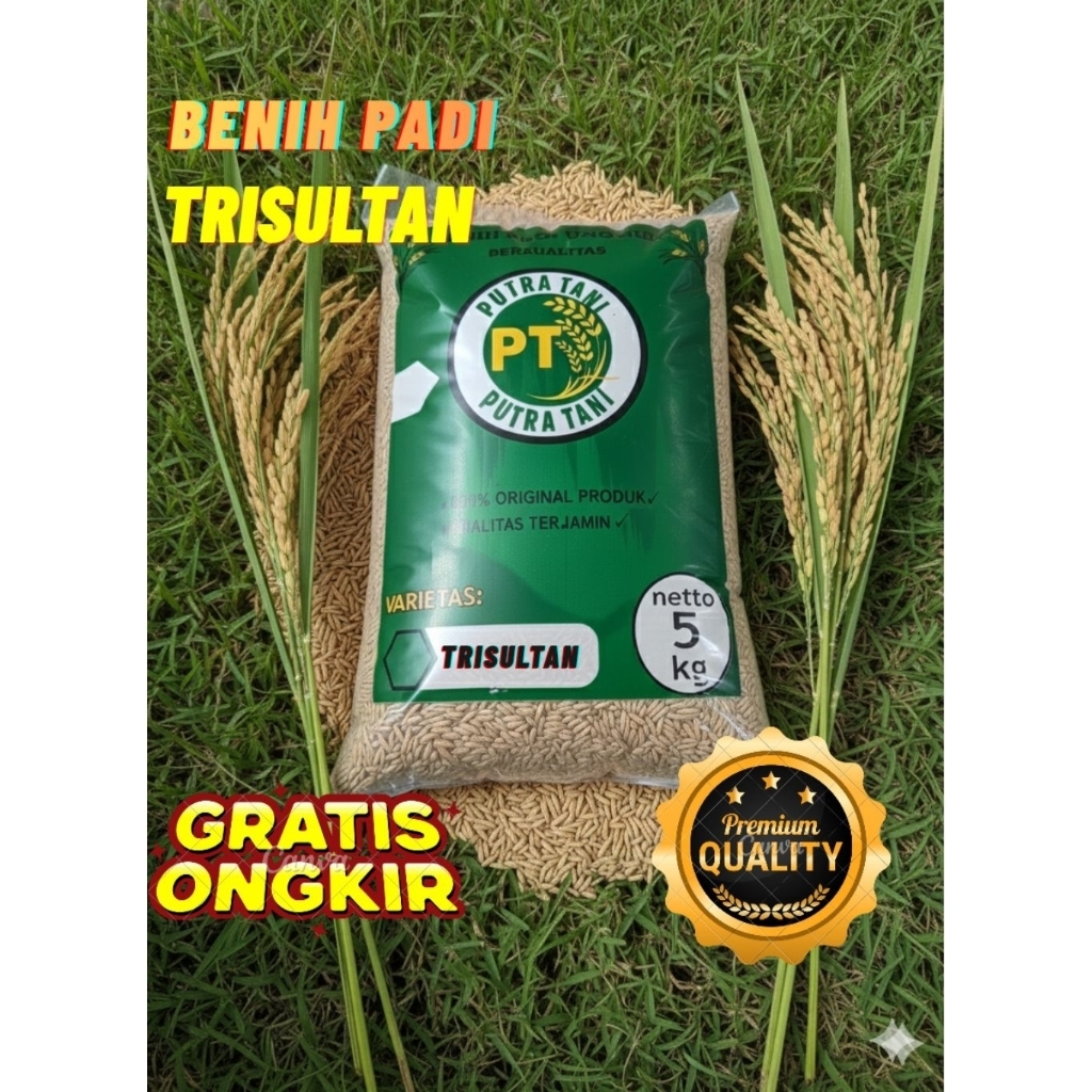 Bibit padi Benih padi unggul TRISULTAN kemasan 5kg