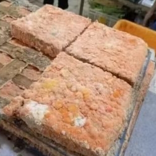 oncom merah segar per papan