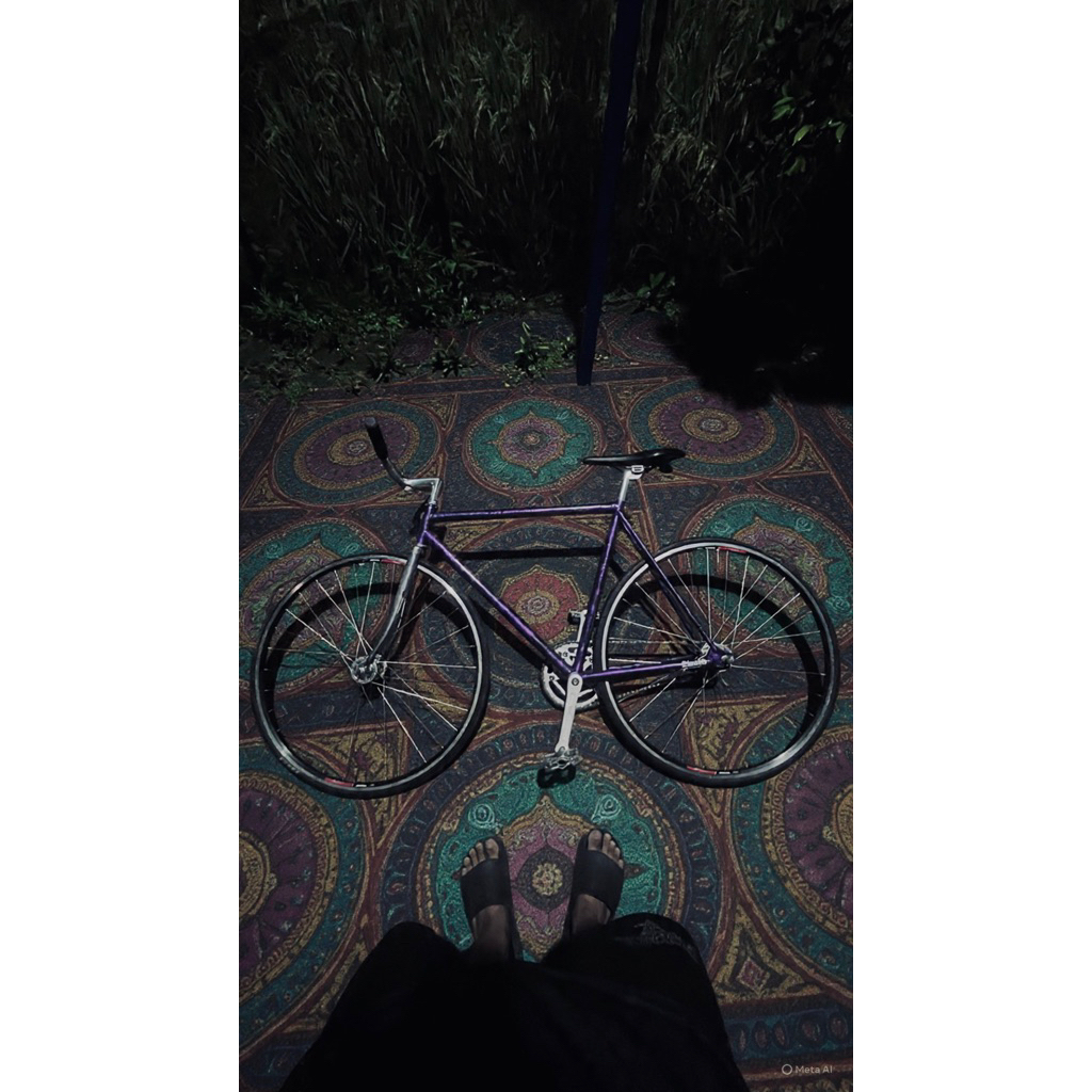 sepeda fixie fullbike