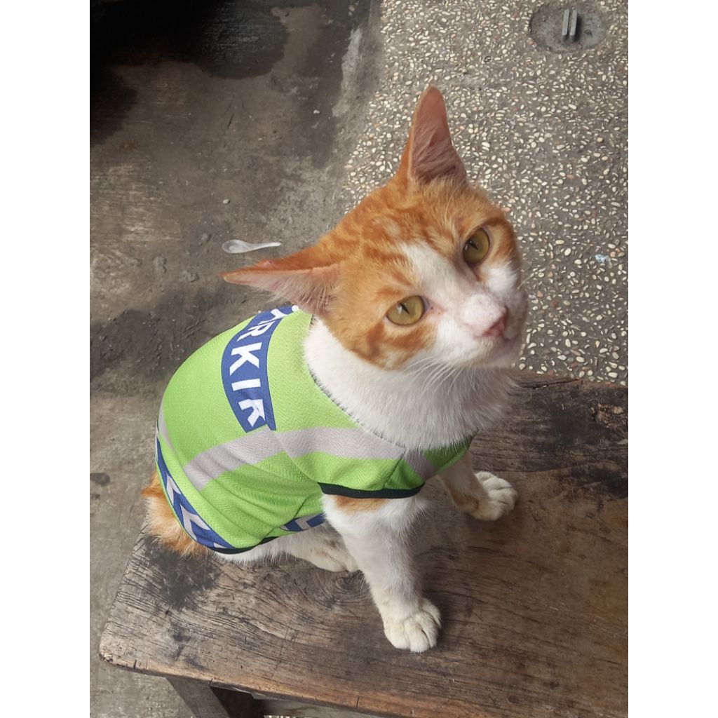 Booked Merch Proseka B