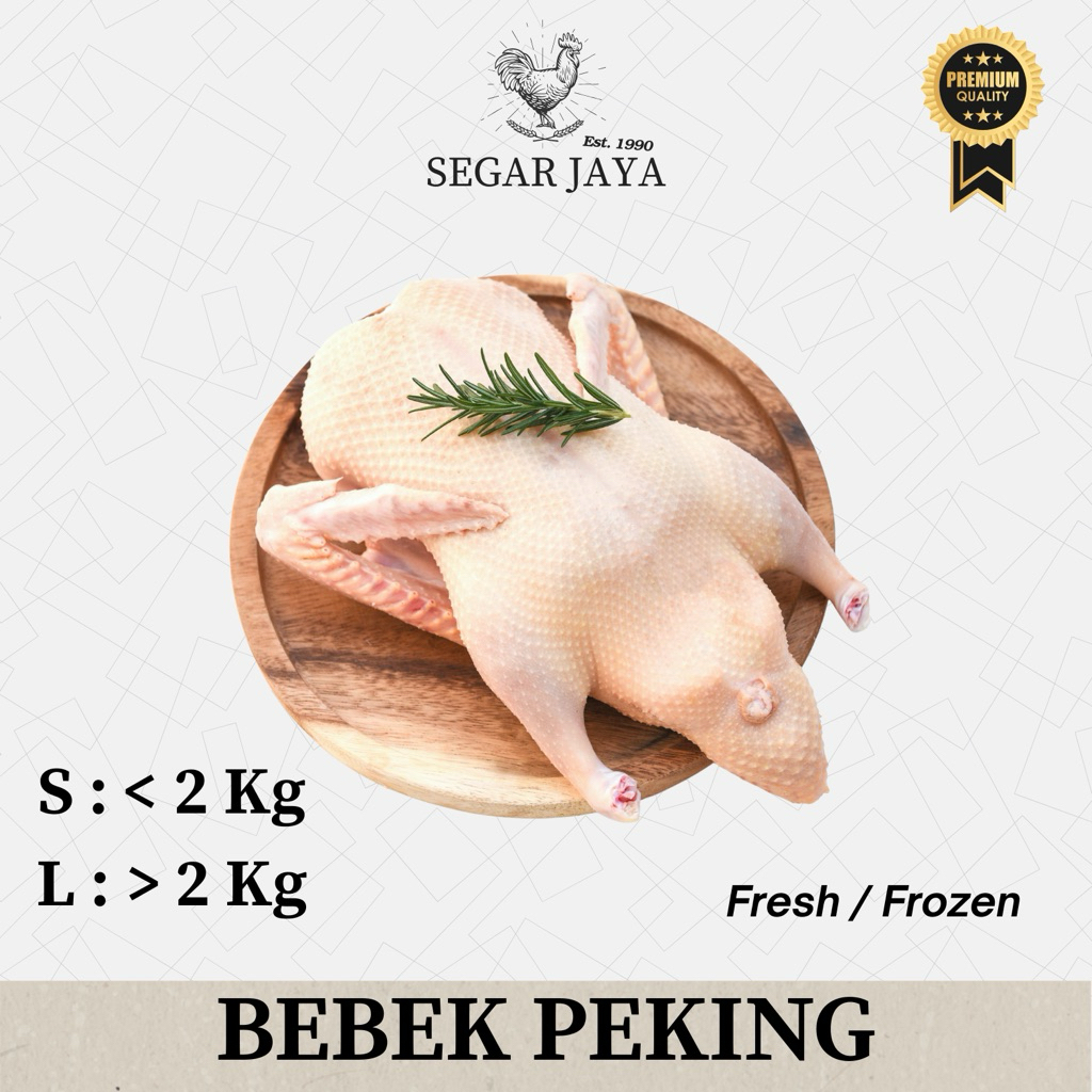 Bebek Peking / Bebek Hibrida / Bebek Pedaging