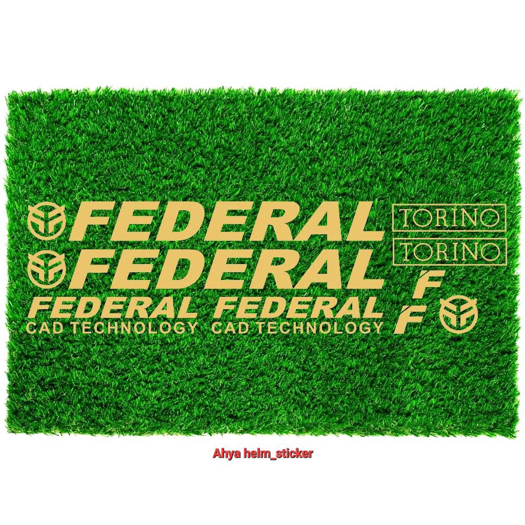 Sticker sepeda FEDERAL TORINO MTB cutting