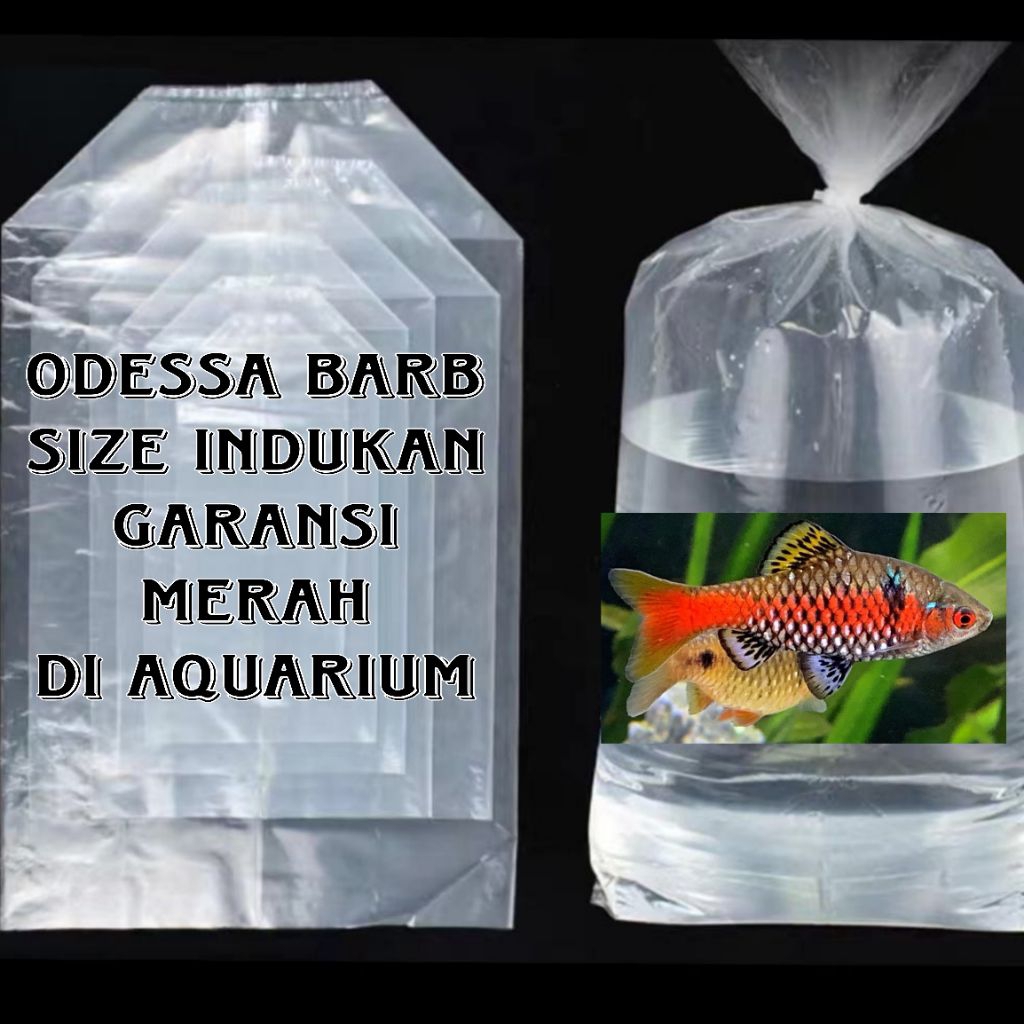 plastik pack merk (odessa barb jumbo)