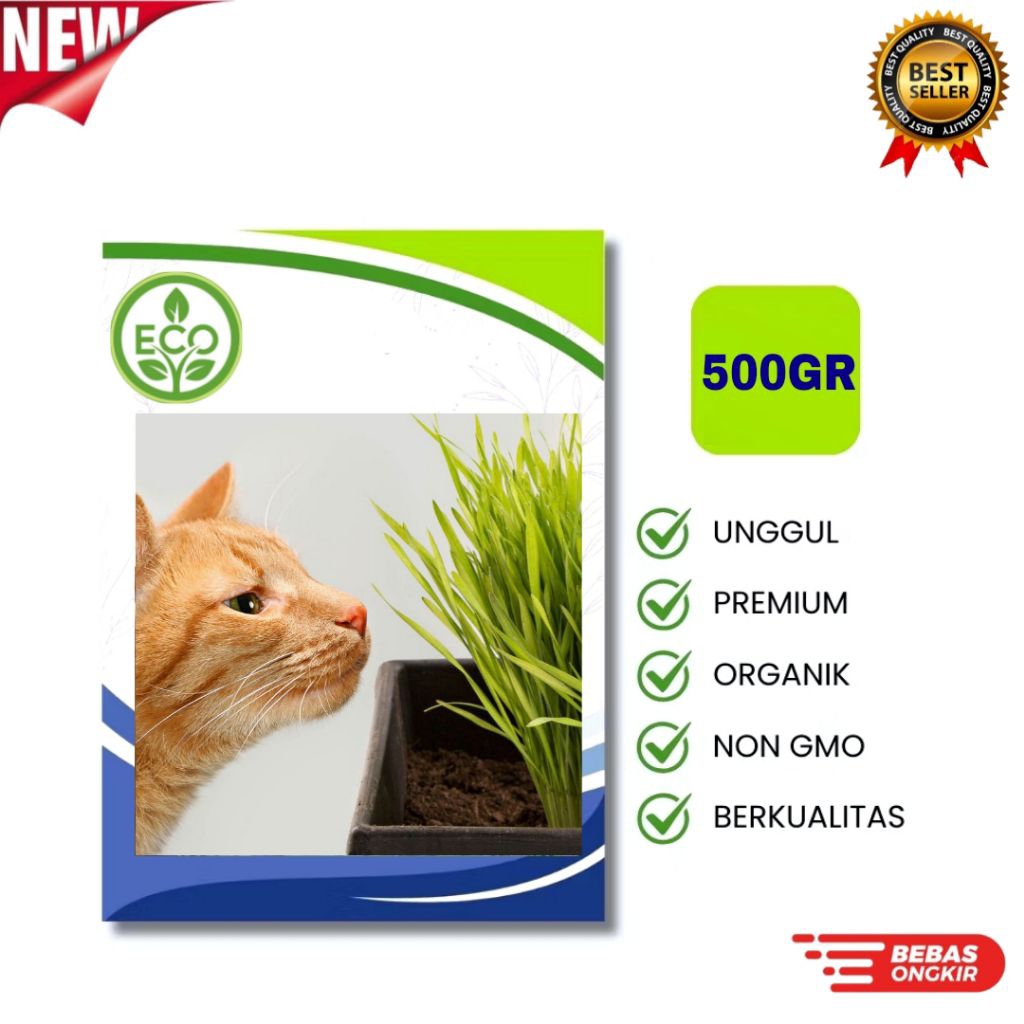 Benih RUMPUT KUCING [500GRAM] - Biji Wheatgrass Rumput Gandum