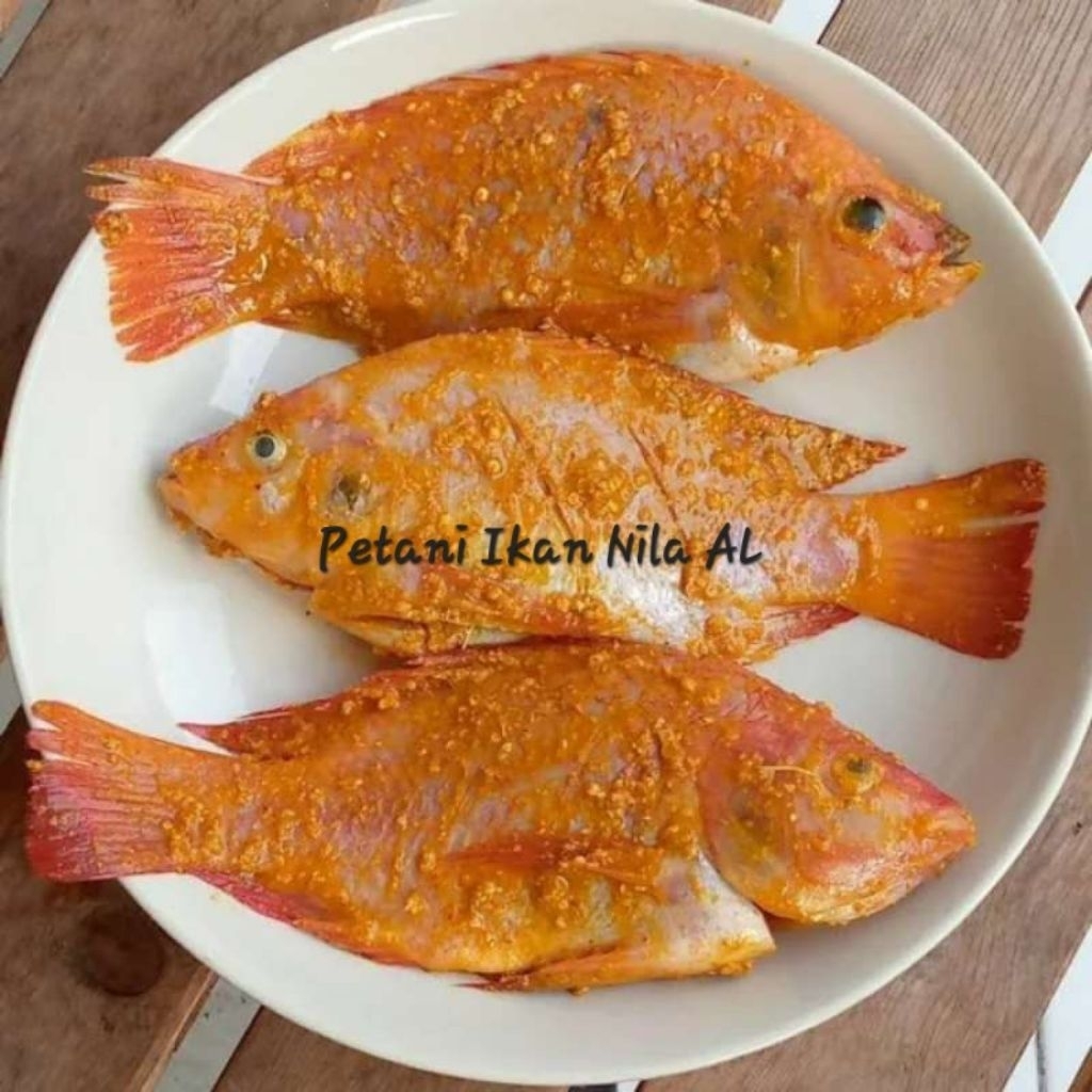 ikan nila merah kakap bumbu kuning segar siap digoreng 500 gram