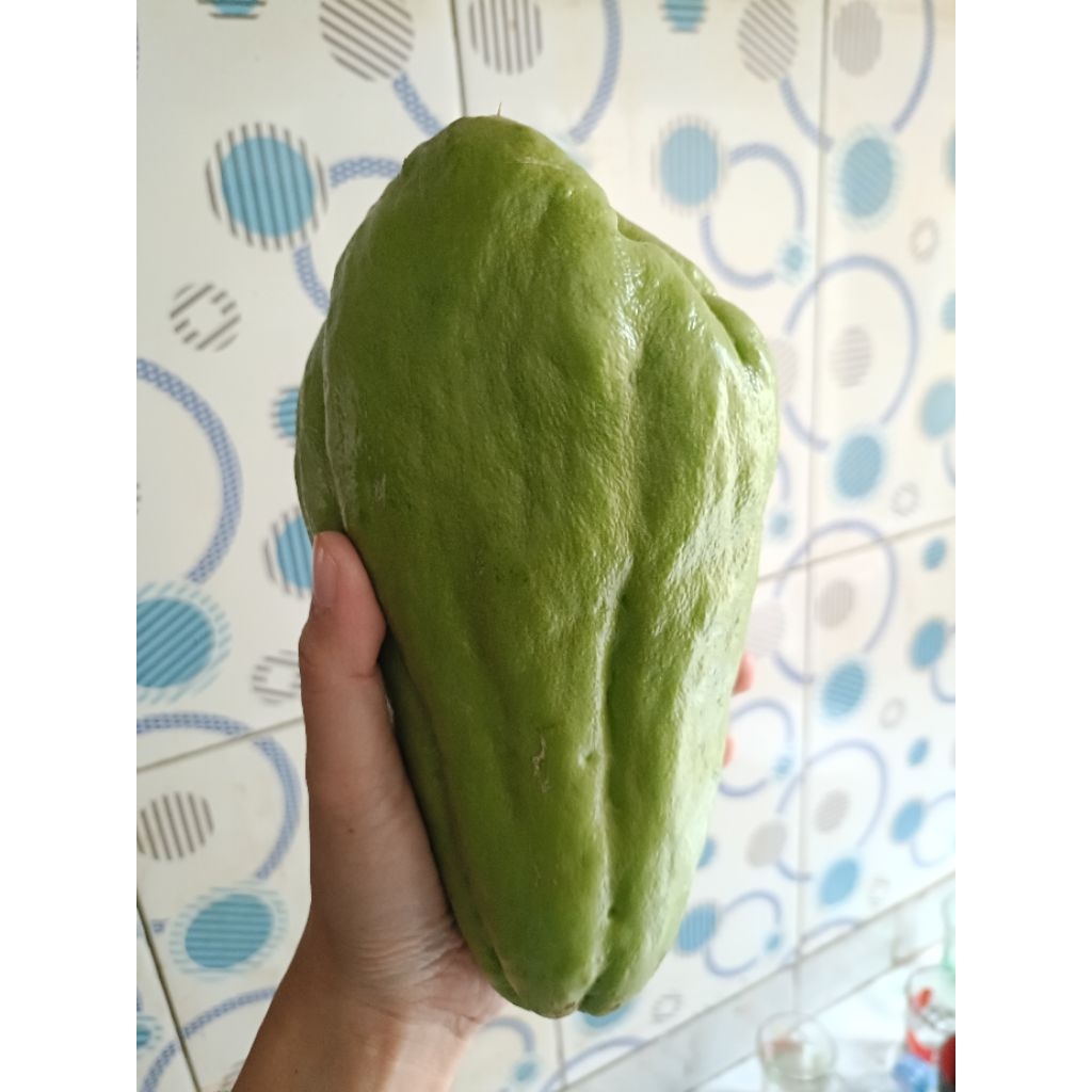 labu Siam jumbo /biji