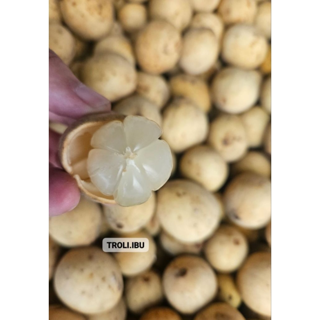 duku palembang manis