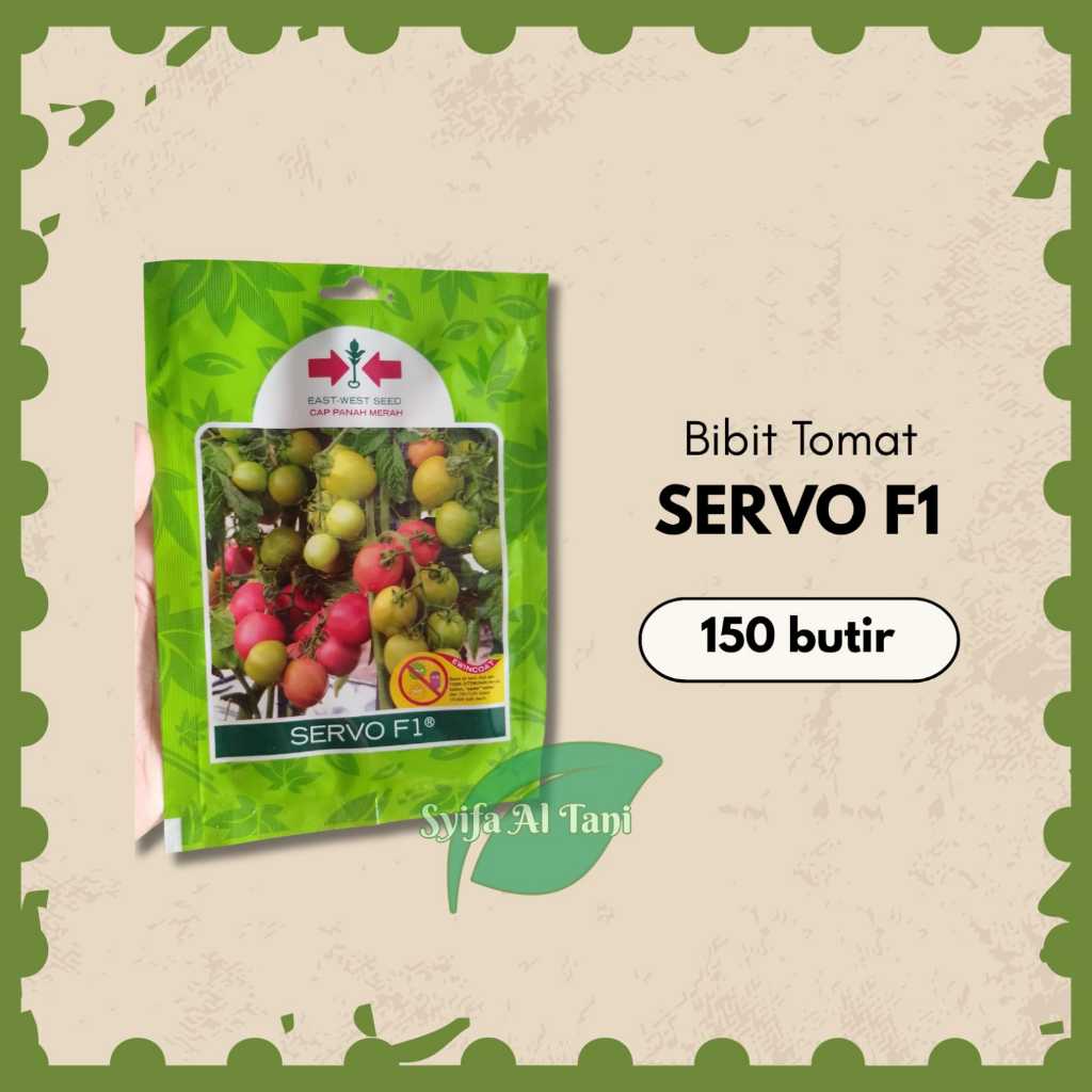 Benih Tomat Hibrida Servo F1 | 150 btr