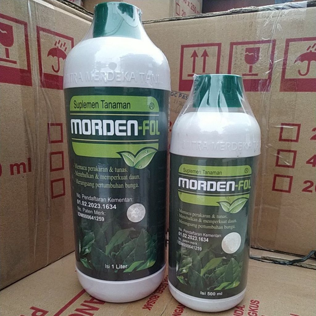 morden fol suplemen tanaman morden-fol