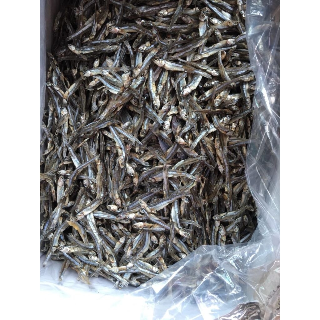 Teri Tawar Kering / Ikan Asin Teri Jengki 1 Kg Termurah